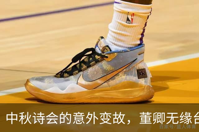 中秋诗会的意外变故，董卿无缘台前离京心情低落