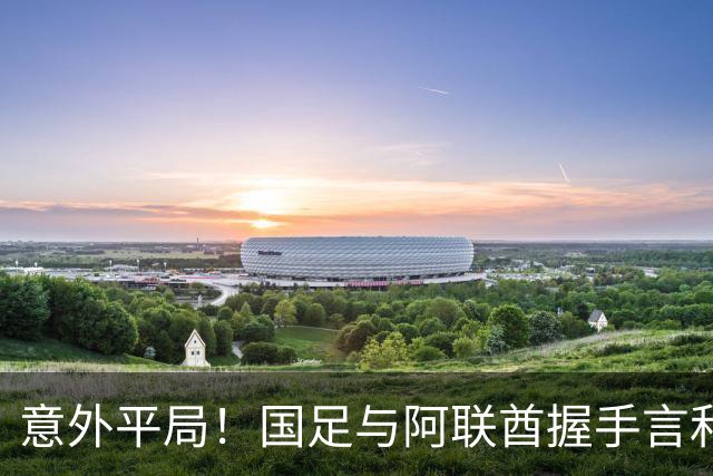 意外平局！国足与阿联酋握手言和，喜忧参半的赛后反响